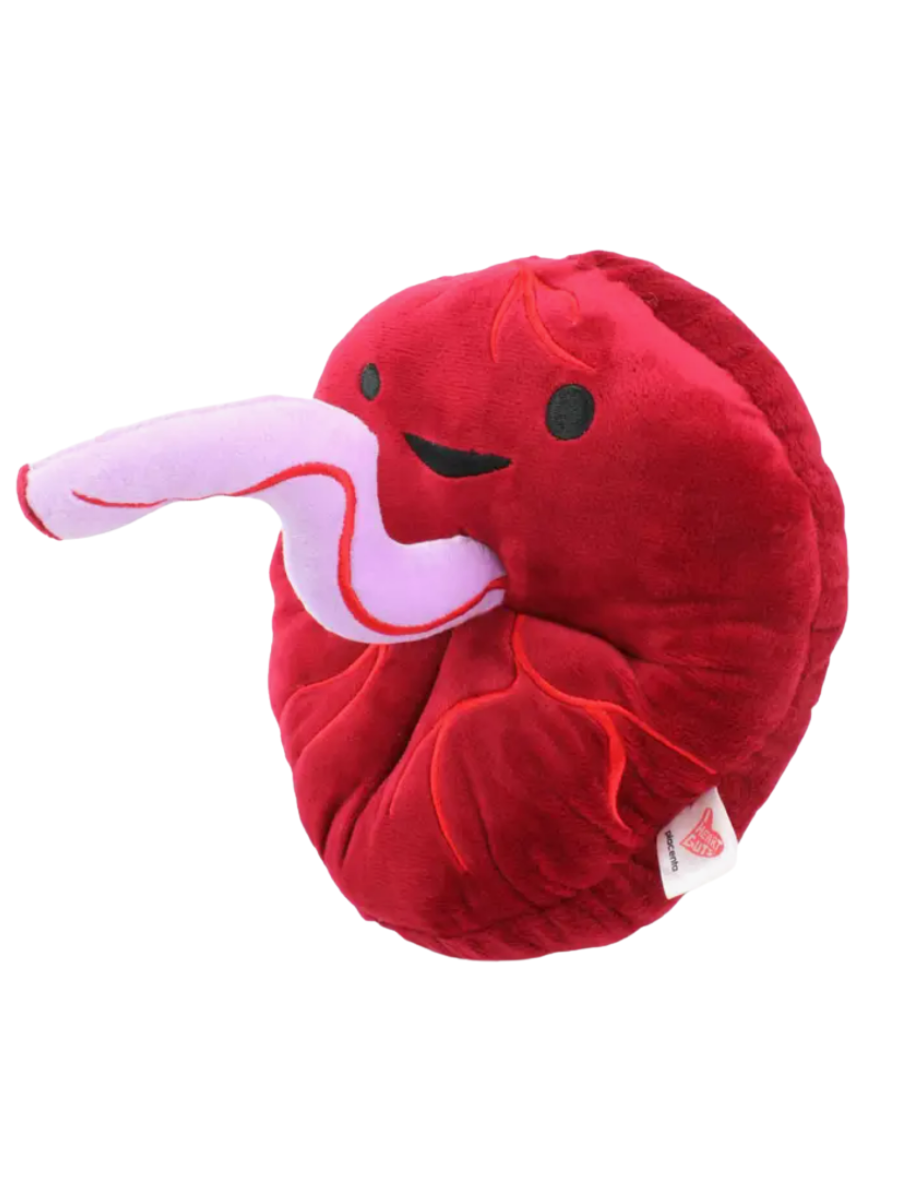 Placenta Plush